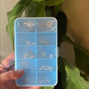 Jewelry holder with earrings